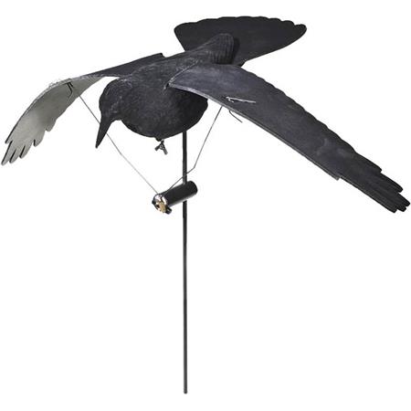Llamante Stepland Corbeau Ailes Battantes Electriques