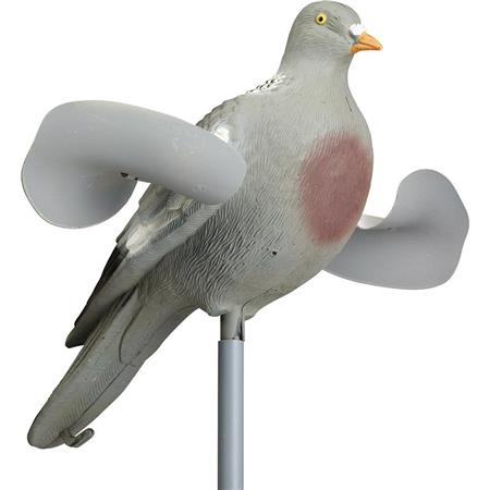 Llamante Stepland Pigeon Ailes Tournantes