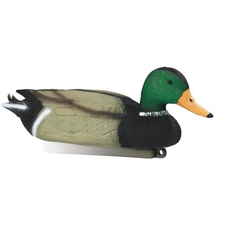 Lokeend Stepland Colvert Mâle Mousse