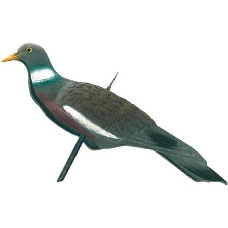 Lokker Europ Arm Pigeon Anglais