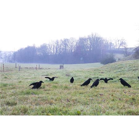 LOKVOGEL EUROHUNT CORBEAU LEURRE FLOQUÉ AVEC DES AILES