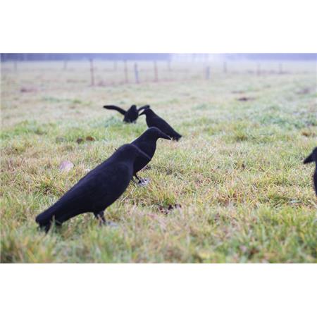 LOKVOGEL EUROHUNT CORBEAU LEURRE FLOQUÉ SUR TOUT LE CORPS