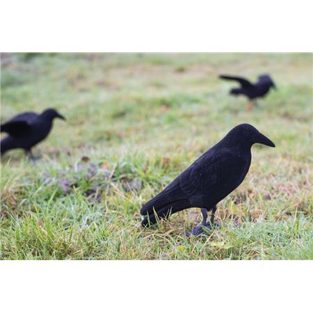 Lokvogel Eurohunt Corbeau Leurre Floqué Sur Tout Le Corps