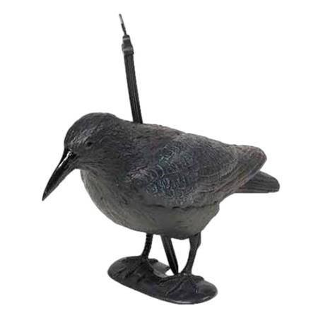 Lokvogel Fritzmann Corneille Peinte