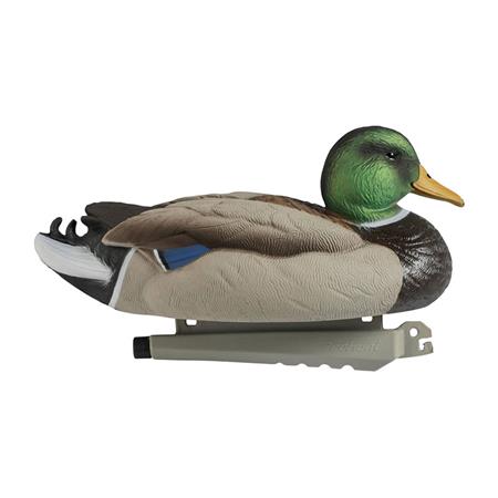 LOKVOGEL STEPLAND COLVERT MALE ULTRA HD MOUSSE - PARTIJ VAN 6