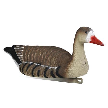 Lokvogel Stepland Oie Rieuse - Partij Van 4
