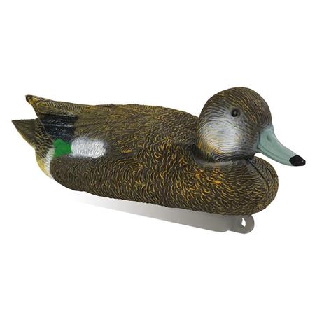 Lokvogel Stepland Siffleur Femelle