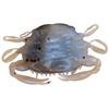 Esca Artificiale Morbida Berkley Gulp! Saltwater Peeler Crab - 5Cm - Pacchetto Di 5 - 1109389