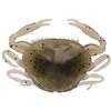 Esca Artificiale Morbida Berkley Gulp! Saltwater Peeler Crab - 5Cm - Pacchetto Di 5 - 1109390
