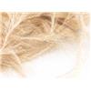 Chenille Fly Scene Ice Hackle Chenille - 15Mm - Beige