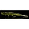 Leurre Souple Fishup Stonefly - 2Cm - Par 12 - 19