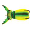 Leurre Flottant Molix Supernato Beetle - 7.5Cm - 191