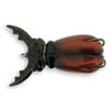 Leurre Flottant Molix Supernato Beetle - 7.5Cm - 193