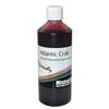 Liquide De Trempage Mistral Baits Soak Syrup - 20-00026