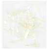 Dos De Gammare Fly Scene Scud Backs - 3.1Mm - Transparent