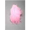 Marabou Fly Scene 12 Loose Feathers - 40-65220