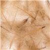 Culo De Pato Fly Scene Feathers 1G - 40-90144
