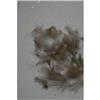 Culo De Pato Fly Scene Feathers 1G - 40-90170