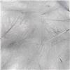 Culo De Pato Fly Scene Feathers 1G - 40-90182