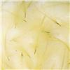 Culo De Pato Fly Scene Feathers 1G - 40-90183