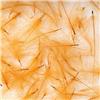 Culo De Pato Fly Scene Feathers 1G - 40-90203