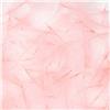 Culo De Pato Fly Scene Feathers 1G - 40-90220