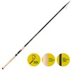 Canne Bolognaise Téléscopique Fly Incredibile Bolo - 420Cm - 10-50G