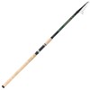 Canne Bolognaise Téléscopique Fly Incredibile Bolo - 450Cm - 10-60G
