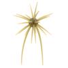 Soft Lure Hide Up Coike Mini - 0.8Cm - Pack Of 3 - 4582563789647