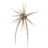 Soft Lure Hide Up Coike Mini - 0.8Cm - Pack Of 3 - 4582563789708