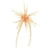 Soft Lure Hide Up Coike Mini - 0.8Cm - Pack Of 3 - 4582563789921