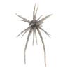 Soft Lure Hide Up Coike Mini - 0.8Cm - Pack Of 3 - 4582563789938