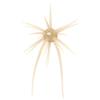 Soft Lure Hide Up Coike Mini - 0.8Cm - Pack Of 3 - 4582563789952