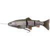 Artificiale Morbida Montata Savage Gear 4D Line Thru Trout - 25Cm - 57396