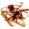Dos De Gammare Fly Scene Scud Backs - 5Mm - Brun