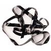 Dos De Gammare Fly Scene Scud Backs - 5Mm - Noir