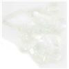 Dos De Gammare Fly Scene Scud Backs - 5Mm - Transparent