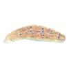 Leurre Souple N.S Black Hole Avenger N-Larva 1.5 - 3.8Cm - Par 15 - 704