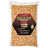 Seme Preparato Starbaits Ready Seeds Red Liver - 72628