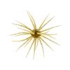 Softbait Hide Up Coike - 1.7Cm - 81-0-1000