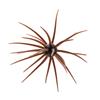 Softbait Hide Up Coike - 1.7Cm - 81-0-1001