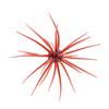 Softbait Hide Up Coike - 1.7Cm - 81-0-1002