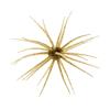 Softbait Hide Up Coike - 1.7Cm - 81-0-1003