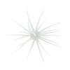 Softbait Hide Up Coike - 1.7Cm - 81-0-1004