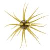 Softbait Hide Up Coike Fullcast - 2.3Cm - 81-0-1006