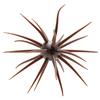 Softbait Hide Up Coike Fullcast - 2.3Cm - 81-0-1007