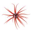 Softbait Hide Up Coike Fullcast - 2.3Cm - 81-0-1008