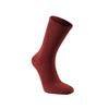 Chaussettes Mixte Woolpower Liner Classic - 84116039