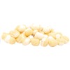 Wafter Match Pro Top Dumbells Wafters - 8Mm - Ail