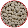 Dumbell Match Pro Top Dumbells Pop Up - Ail